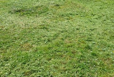 Casa 2 camere plus living - 11