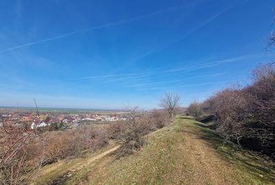 Teren agricol extravilan de 3664 mp, în Cuvin - 4