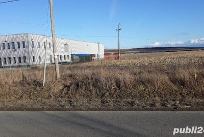Teren de 22500 mp, în Central