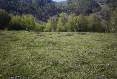 Teren de 3510 mp, în Central