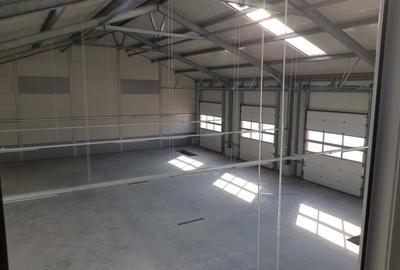 Hala | Spatiu Comercial | Pitesti | Zona Depozitelor 357mp - 4
