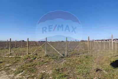 Teren Construcții intravilan de 2500 mp, în Lazu - 5