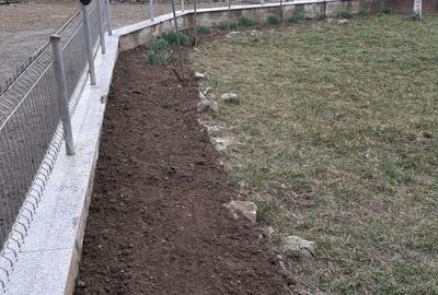 Casă cu 3 camere în Făget - 4