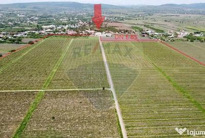 Teren de 540286 mp, în Urechești - 17