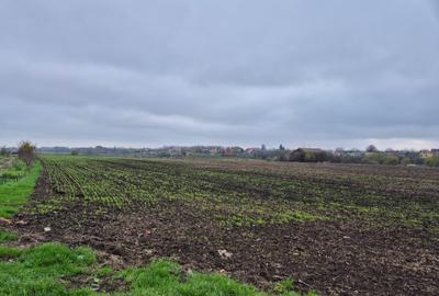 Teren intravilan,Frumusani, sat Pasarea - 3