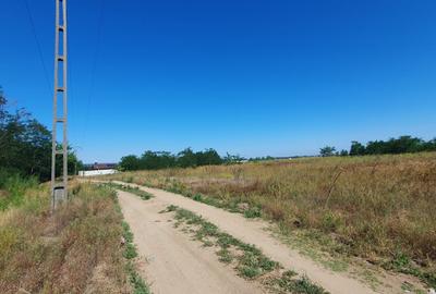 Spațiu comercial, în Malu Mare - 7