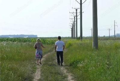Teren 70 000 mp pretabil FOTOVOLTAIC de vanzare in Titu, jud Dambovita, negociabil - 3