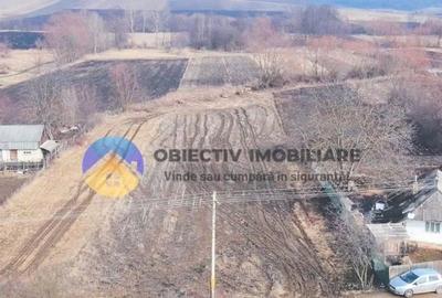 Teren Construcții intravilan de 10515 mp, în Bodești - 15