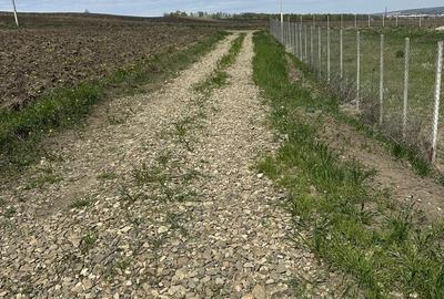 Teren de 1000 mp, în Bosanci - 7