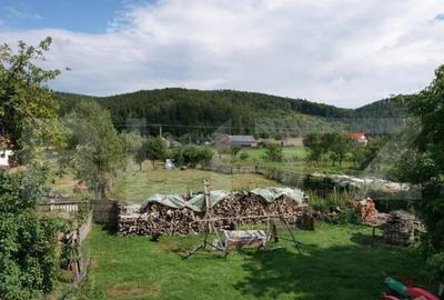 Casă cu 7 camere cu Canalizare în Central - 4