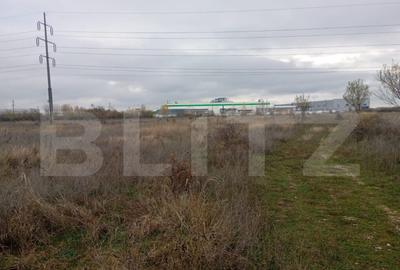 Teren 9.000 mp in Priseaca Intravilan + Extravilan, apr - 3