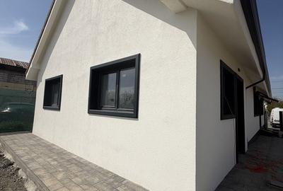 Casă cu 3 camere în Sânmihaiu Român