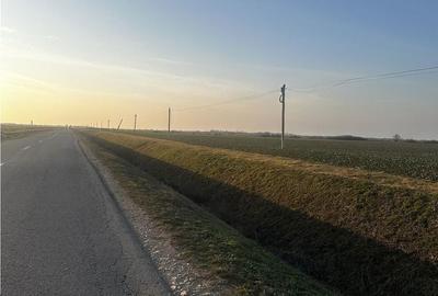 Teren de 5755 mp, în Nojorid - 2