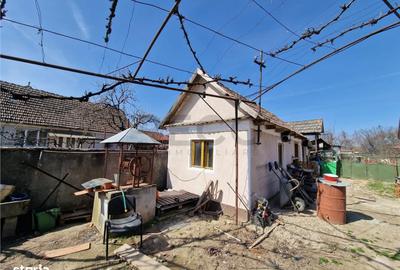 Casă cu 3 camere cu Teren 2230 Mp în Saca - 6