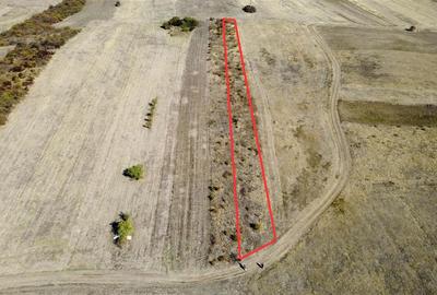 Teren intravilan de 2877 mp, în Betfia