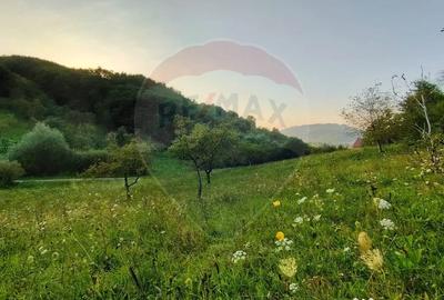 Teren în Bârsana