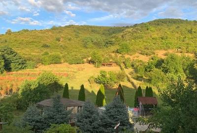Casă cu Teren 6650 Mp în Cuvin