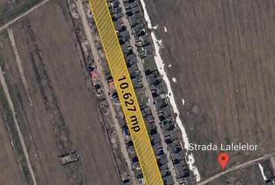 Teren Construcții intravilan de 10627 mp, în Domnești - 1