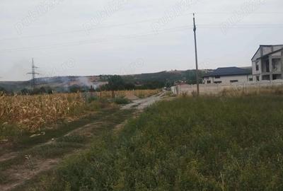 Teren de 1700 mp, în Central - 3