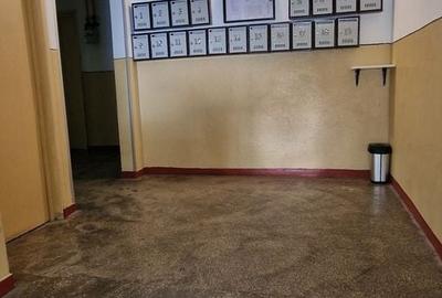Apartament cu 2 camere decomandat, mobilat în Casa de Cultură - 12