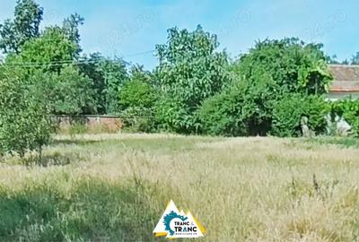 Casă cu 4 camere cu Teren 1360 Mp în Aluniș - 2