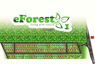 Teren premium, intre doua paduri, acces asfaltat din DN1A, vizitati eForest! - 3