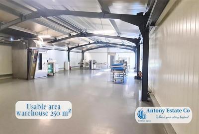 Spațiu comercial, de 250 mp, în Sânmartin - 6