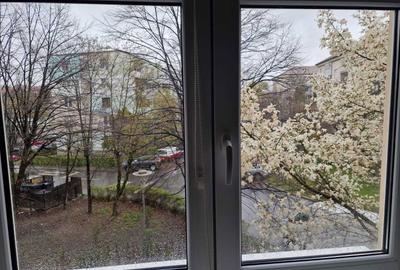 Apartament cu 2 camere semidecomandat în Ultracentral - 2