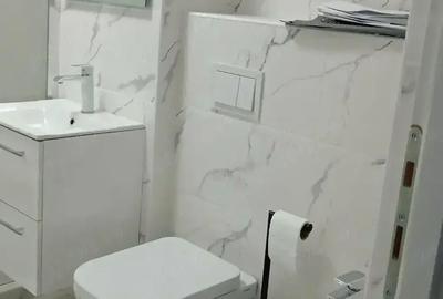 Apartament cu 2 camere decomandat în Iecea Mică - 5