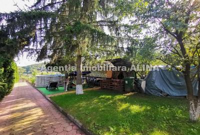 Casă cu 3 camere în Vulcan - 20