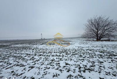 Teren de 13841 mp, în Zemeș - 5