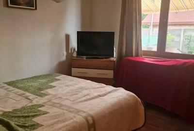 Vand vila individuala Timisoara-Calea Aradului - 3