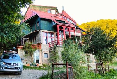 Casă cu 6 camere cu Teren 5600 Mp în Lepșa - 4