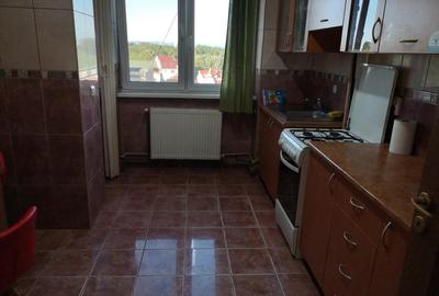 Apartament cu 2 camere semidecomandat în Malul Mureșului