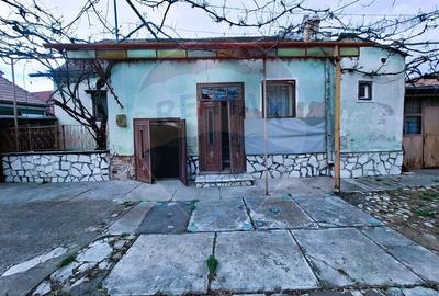 Casă cu 2 camere cu Teren 703 Mp în Gura Râului - 10