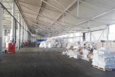 HALA FILIPESTII DE PADURE - complet echipata, pregatita pt productie sau depozit - 7