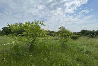 Teren Construcții intravilan de 1439 mp, în Crețești - 10