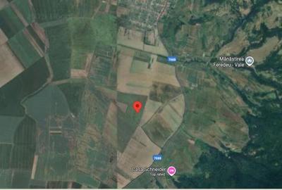 Teren de 10000 mp, în Șiria - 5