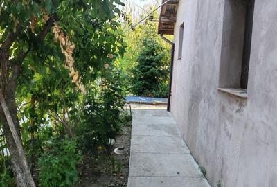 Casă cu 4 camere cu Teren 10000 Mp în Bârca - 3