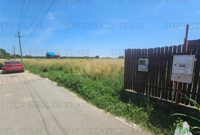 Teren 5000mp la asfalt/dubla deschidere in Mihai Voda