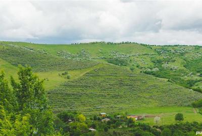 Teren de 20000 mp, în Vadu Săpat - 6