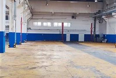 Hale in parcul Roman sau tractorul - 1