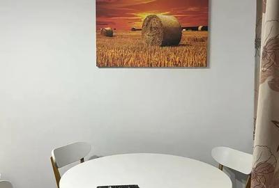 Apartament 1 camera-renovat recent-bd.Gheorghe Lazar - 4