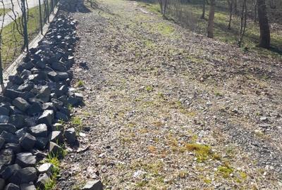 Teren Construcții intravilan de 1050 mp, în Pietrari (Păușești-Măglași) - 16