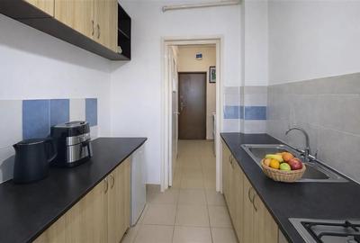 Apartament cu 2 camere semidecomandat, mobilat în Aleea Carpați - 3