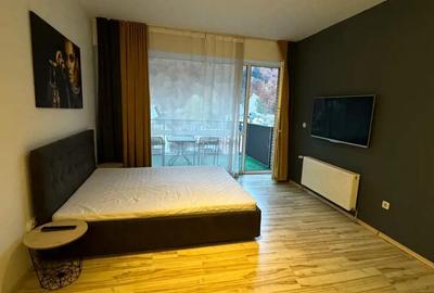 Apartament cu 2 camere decomandat în Sinaia - 8