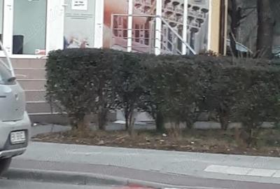 Spațiu comercial, de 30 mp, în Calea Moldovei - 5