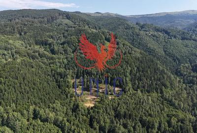 18000 mp de natura pura ,Lupeni, langa Straja - 20