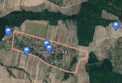 Teren de 30000 mp, în Slobozia (Schitu Duca) - 3