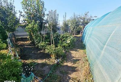 Casă cu 4 camere cu Teren 438 Mp în Mănești - 2